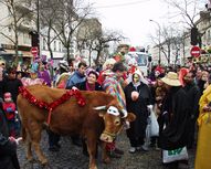 Une vache à Ménilmontant