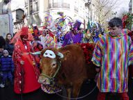 Une vache à Paris