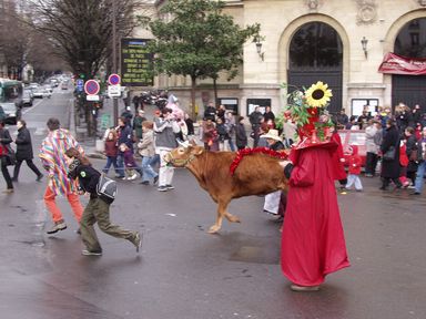 Tour d'honneur de la vache