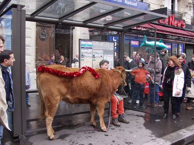 Autovache de la RATP